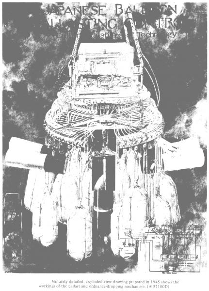 bo image003