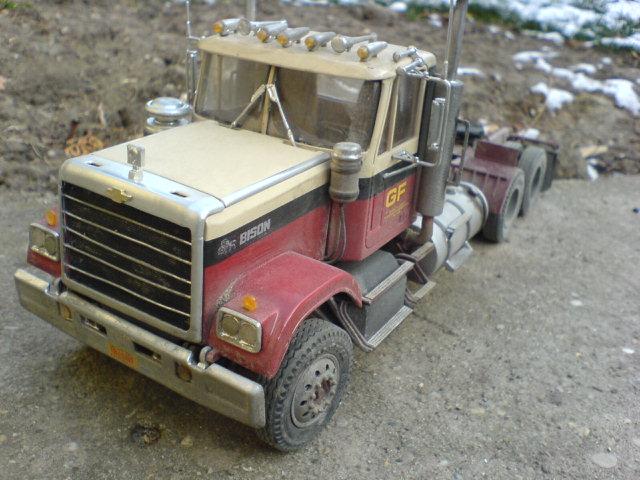 Bison07