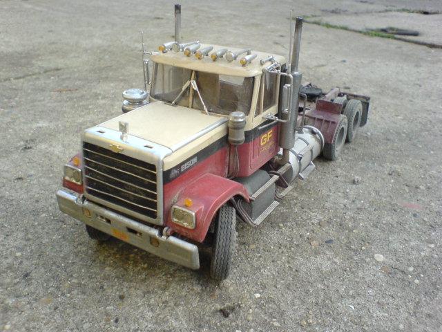 Bison15