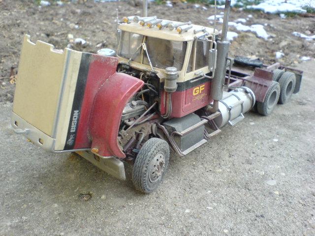 Bison04