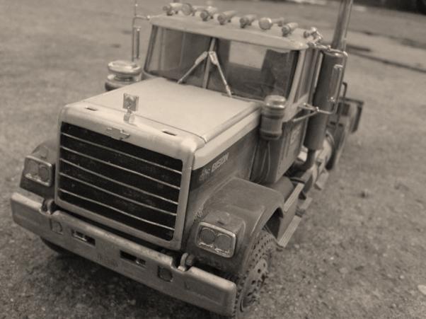 Bison17