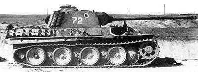 panther_11