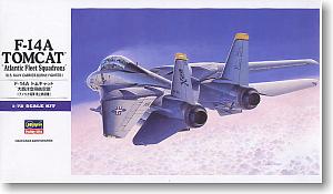 Hasegawa F-14A