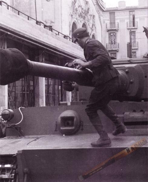 501Tiger142FrFR