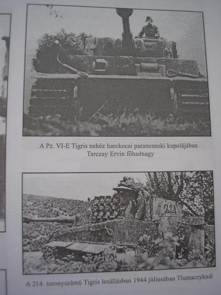 ezek a képek kellenek jobb minőségben