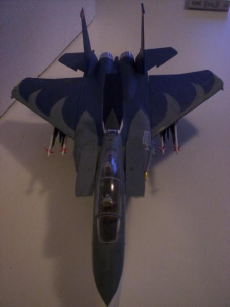 F-15 Strike Eagle 009