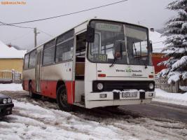 Ikarus 266
(Petya)