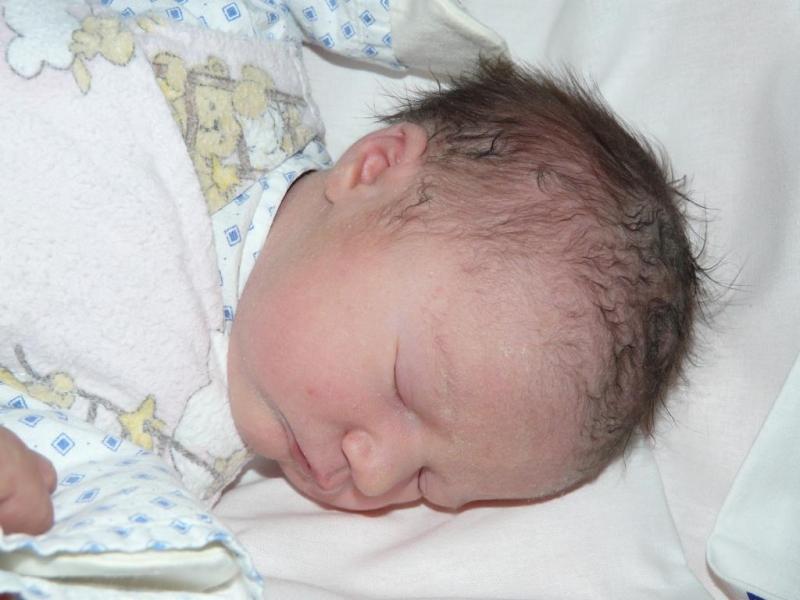 Dorka

Dorka alszik
