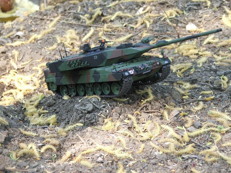 Leopard 2A6 033