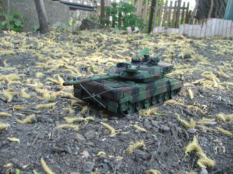 Leopard 2A6 045