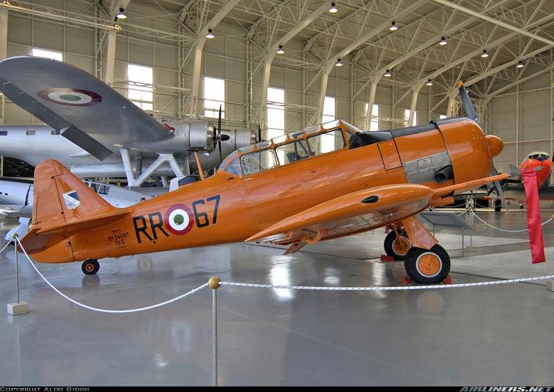 Narancs Texan