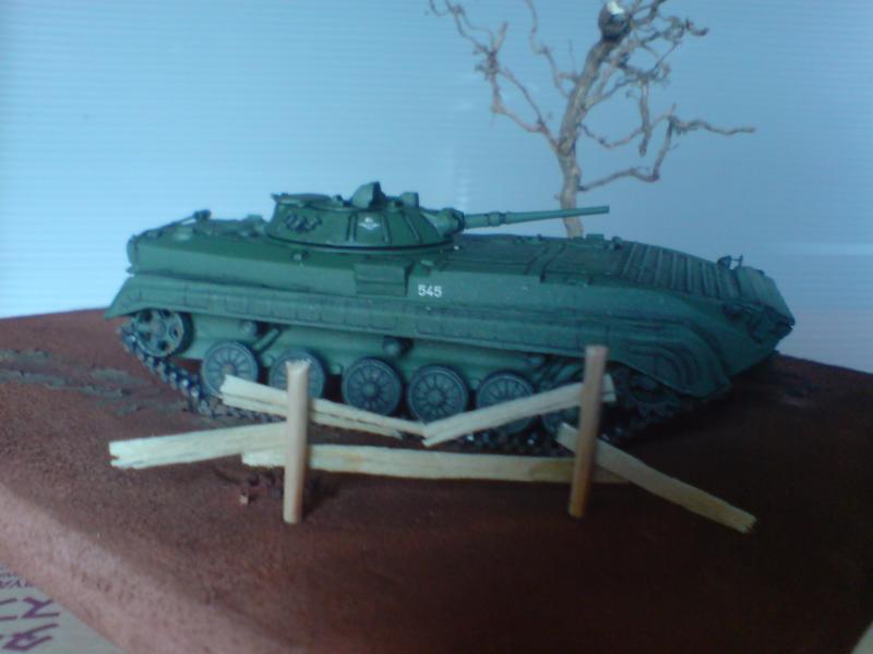 DSC00968
