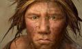 5neander

A neander-völgyi ember. Mikor élt? Mivel foglalkozott? Hogyan öltözködött? Mire vadászott? Mire utal az erőteljes felépítése? :)