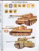 Tiger Tank battalion markings