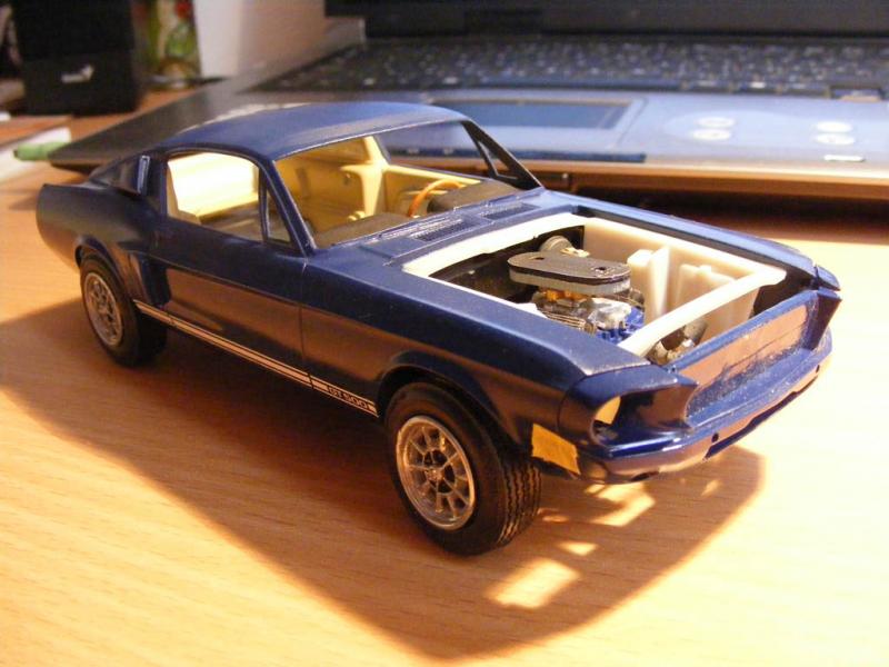 Jim Morrison Shelby