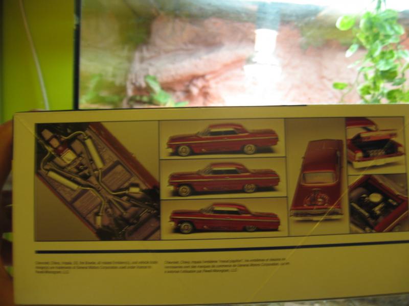 IMPALA (1)