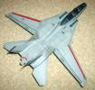 F14 Flircat 31