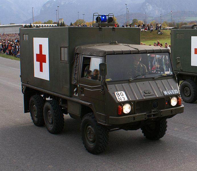 PINZGAUER