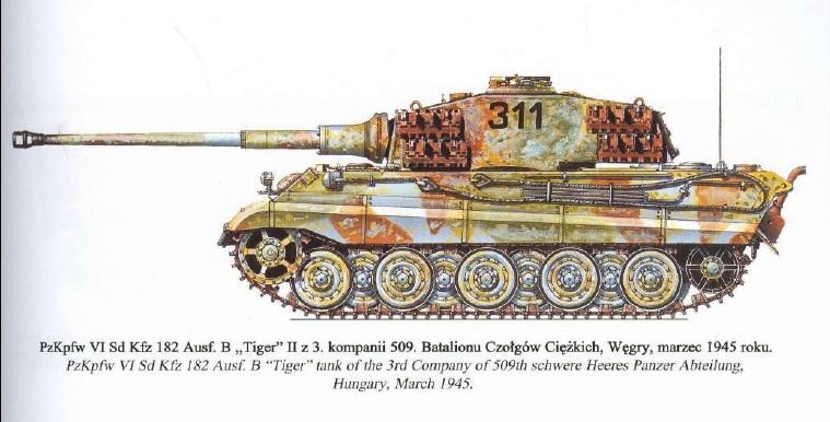 Tiger 2-06