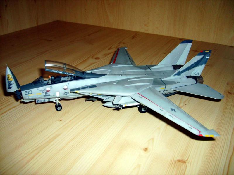 F14 Flircat 021j