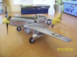 Hasegawa Mustang