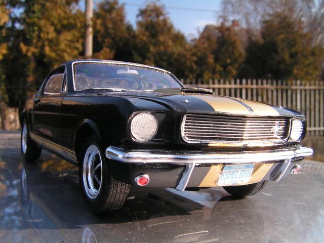 Shelby GT350H