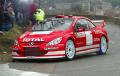 Peugeot 307 WRC Mote carlo Rally 2004 Gronholm