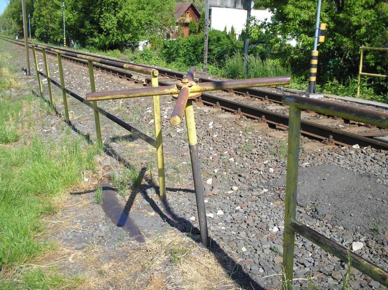 P1010308