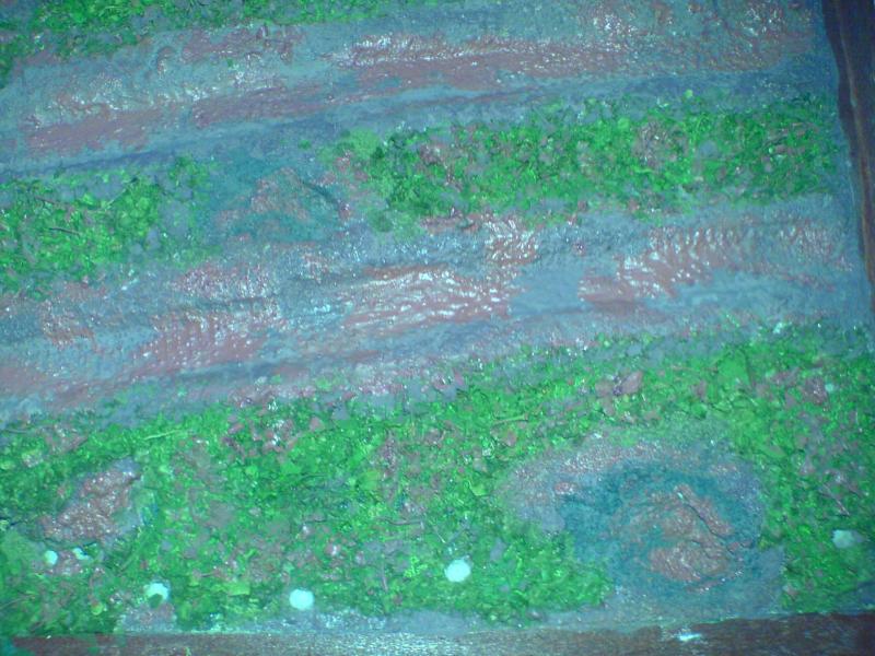 DSC00470