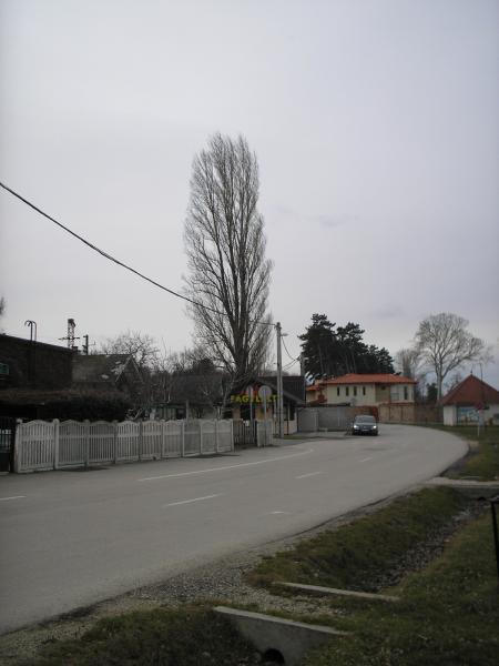 P1010019