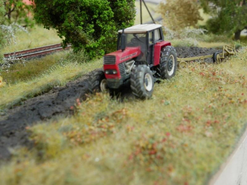 zetor