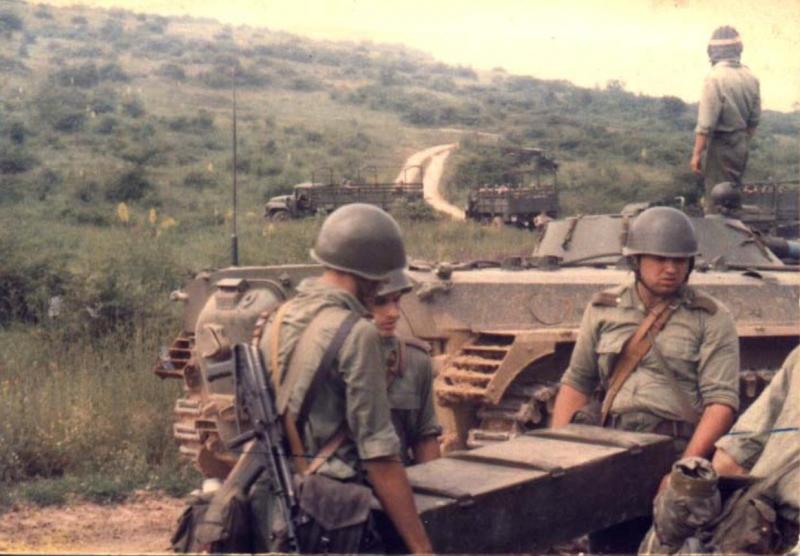 BMP-1    MN