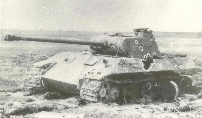 Panther_Hungary_04