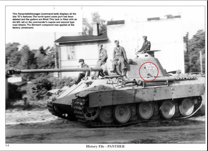 Panther D 