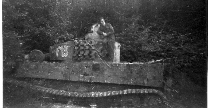 tigerf1303