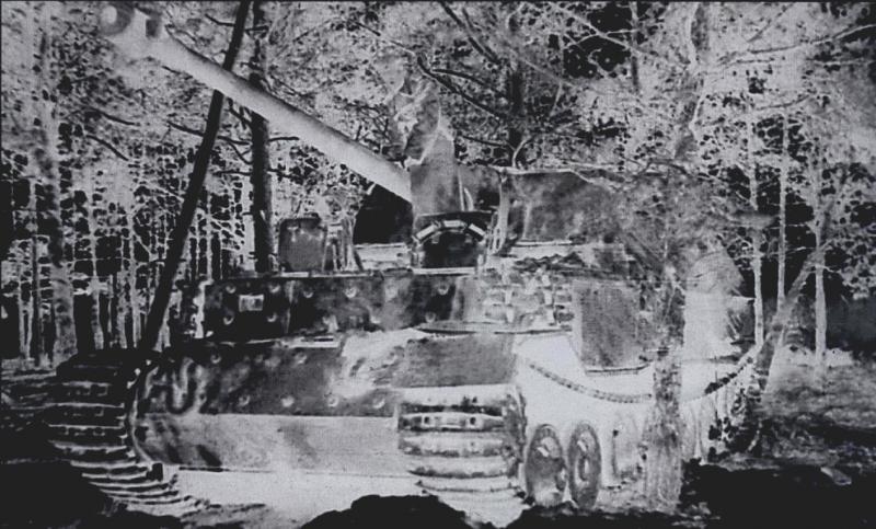 elefant01