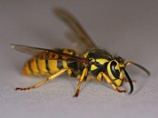 277952_1250433614_320x240