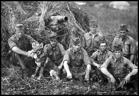 Hungarian Field Artillery Unit, Don Front, 1942

A sober-looking artillery unit posing by their MAVAG 105 (?) field artillery gun facing east toward the Soviet lines in south-central Russia. The accurate fire of these guns, plus of the few available AT artillery pieces, was the most effective means of slowing down the attacking Soviet tank and infantry units during January, 1943. 

