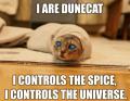 dune_cat