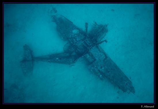 20071106215643-dive-site-photo-Le_Messerschmitt_109-MRS-Messer109_0312
