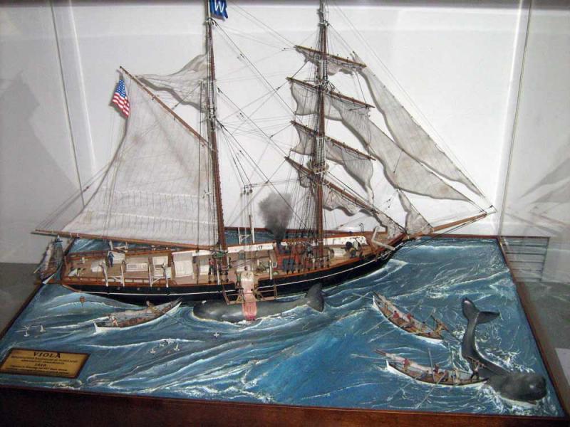 galanti-carlo-viola-1