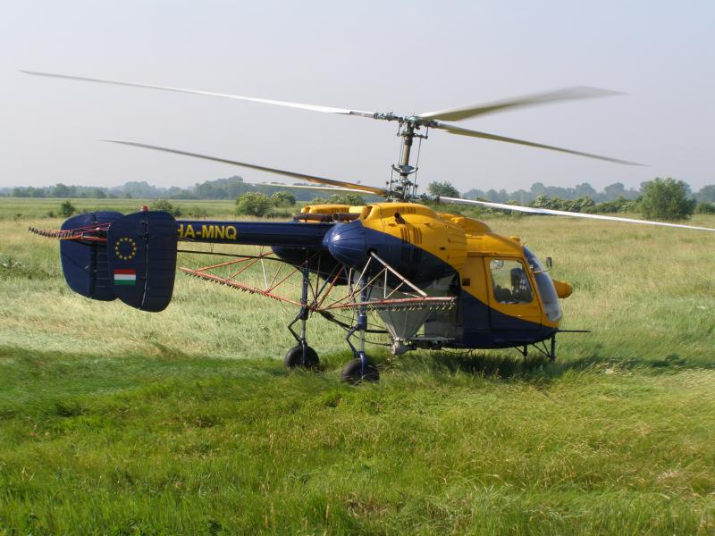 P5250024