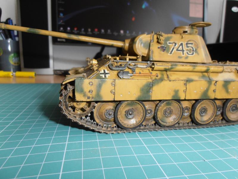 Panther 1
