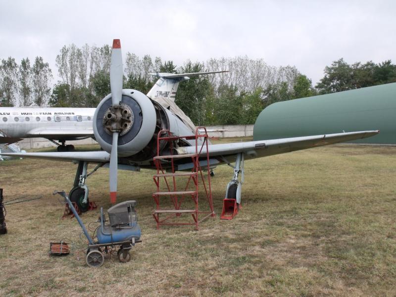 Kép 1821