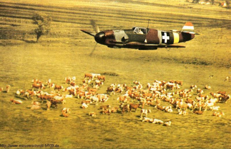 1-Bf-109F-RHAF-experimental-camouflage-scheme-02