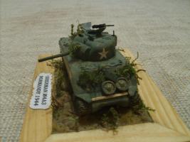 Sherman a bocageban
(mercure47)