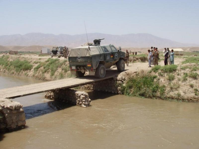 DINGO   AFGHANISTAN