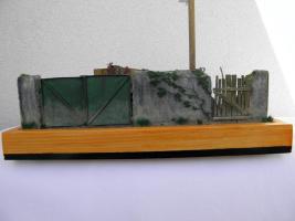 tiger_dio_121