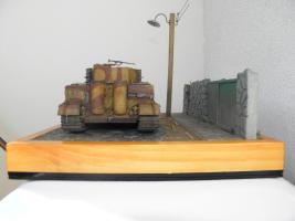 tiger_dio_136