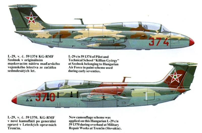 L-29 hung camo 3